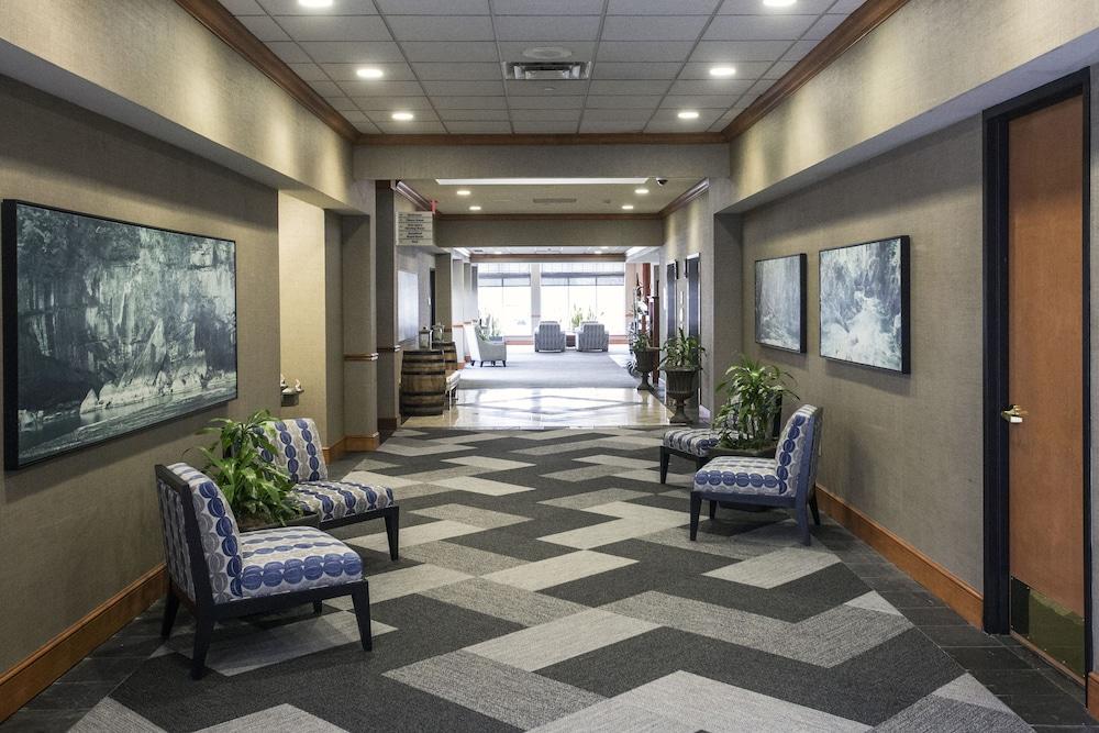 Hilton Garden Inn Louisville Airport Exterior photo